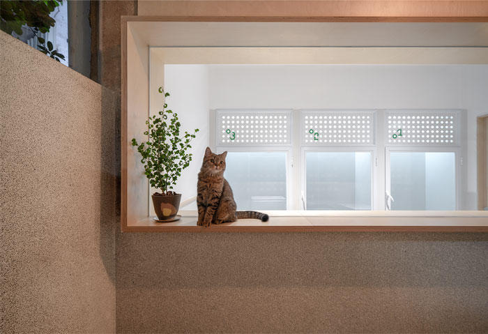 Pet friendly Space 12