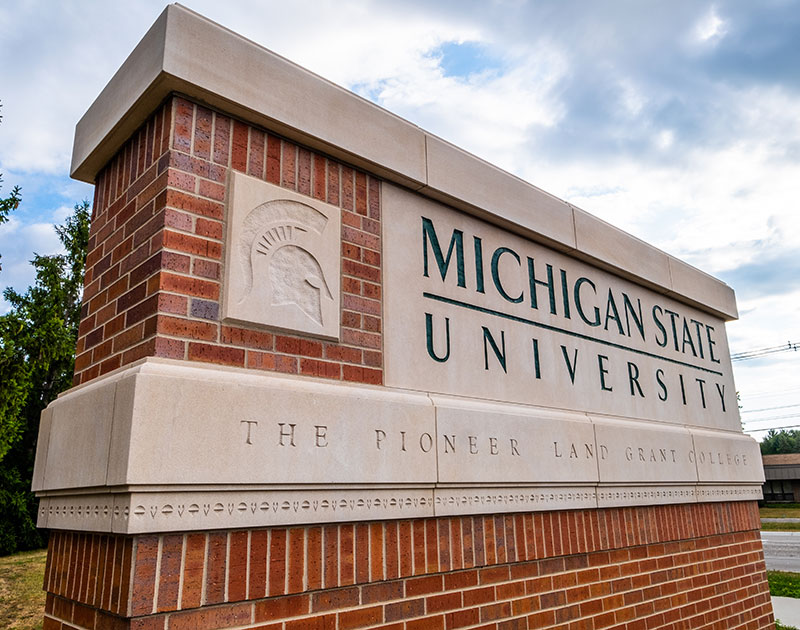 Michigan state university