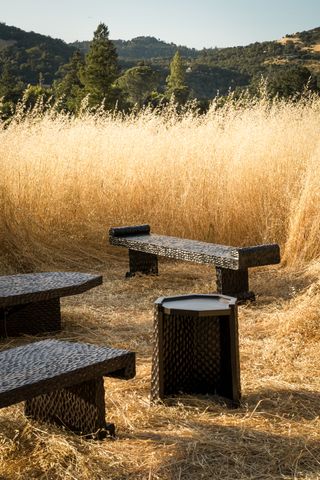 Haus of Hommeboys Ocotillo collection