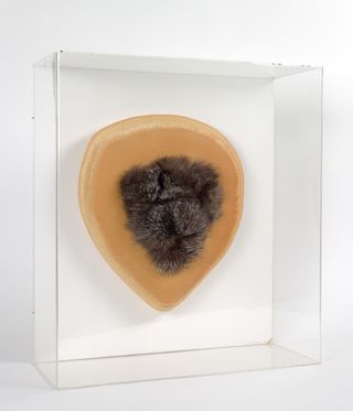 body parts in frames