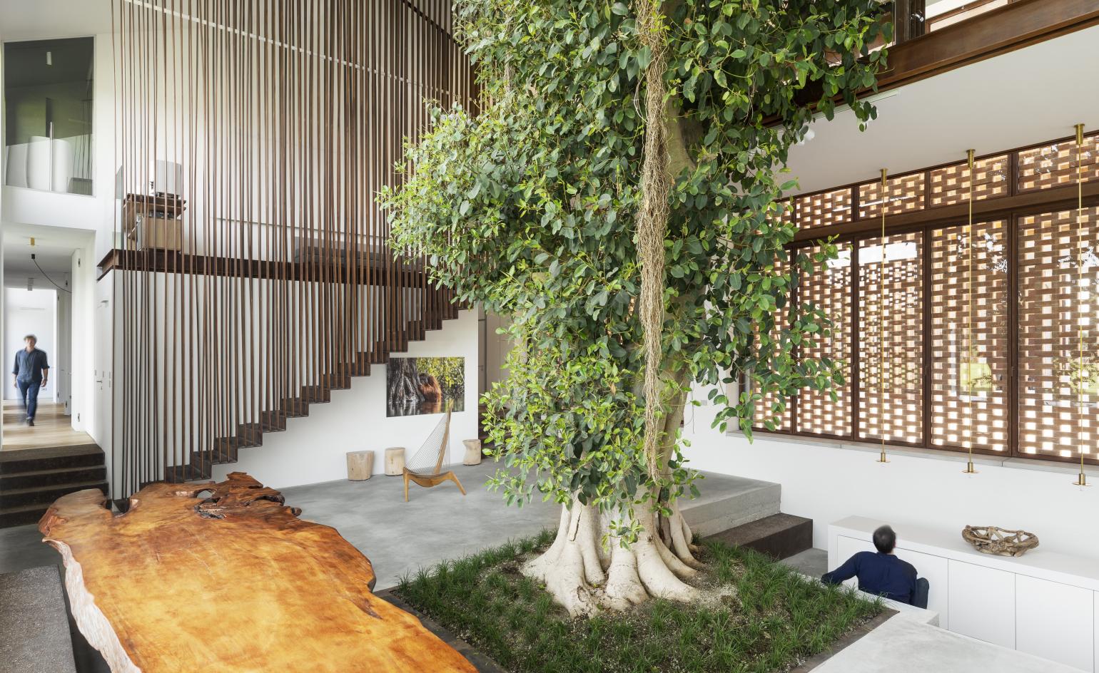 heart of the house with the tree inside at Greenary by Carlo Ratti