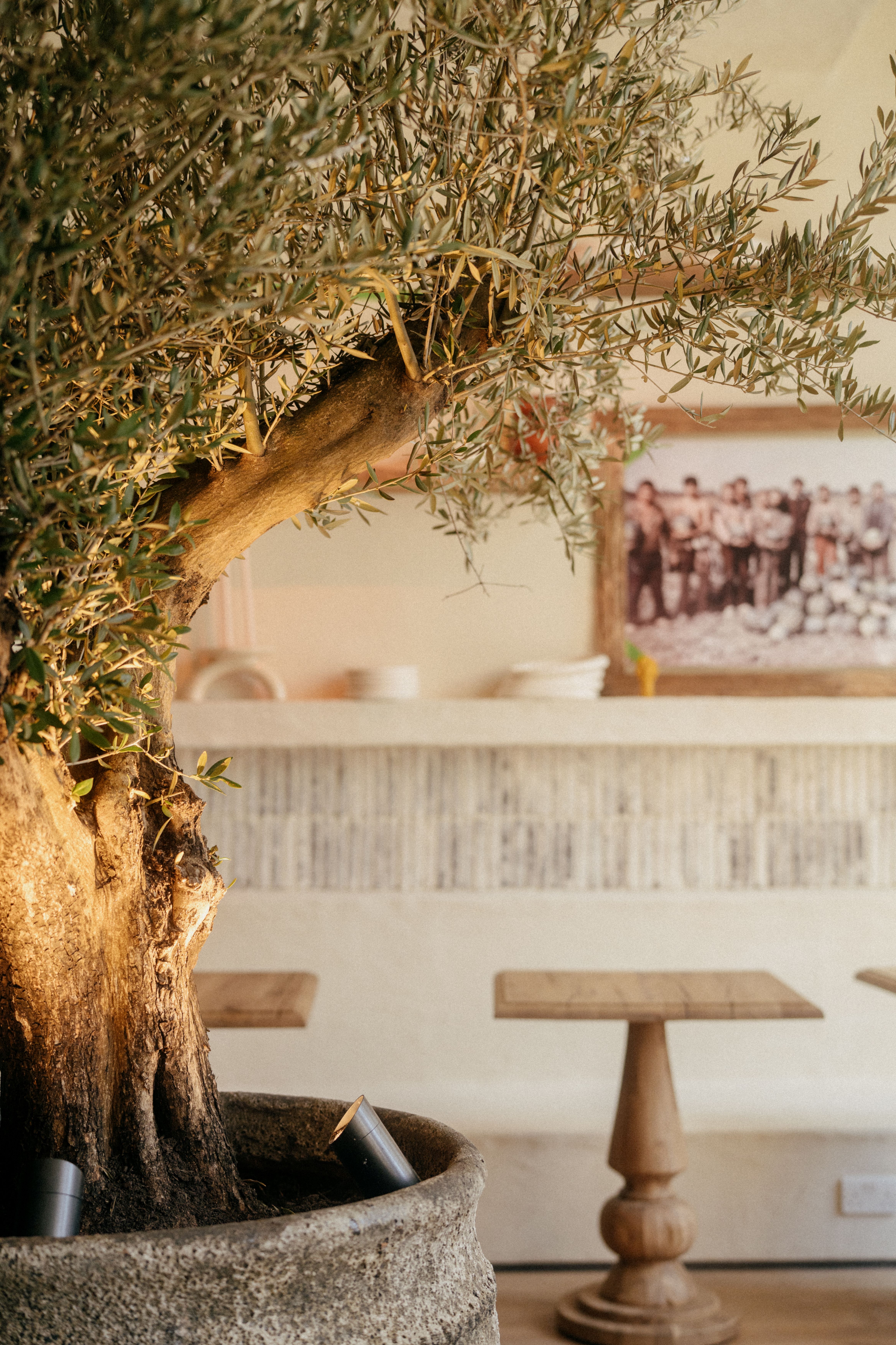 tatar bunar london restaurant review