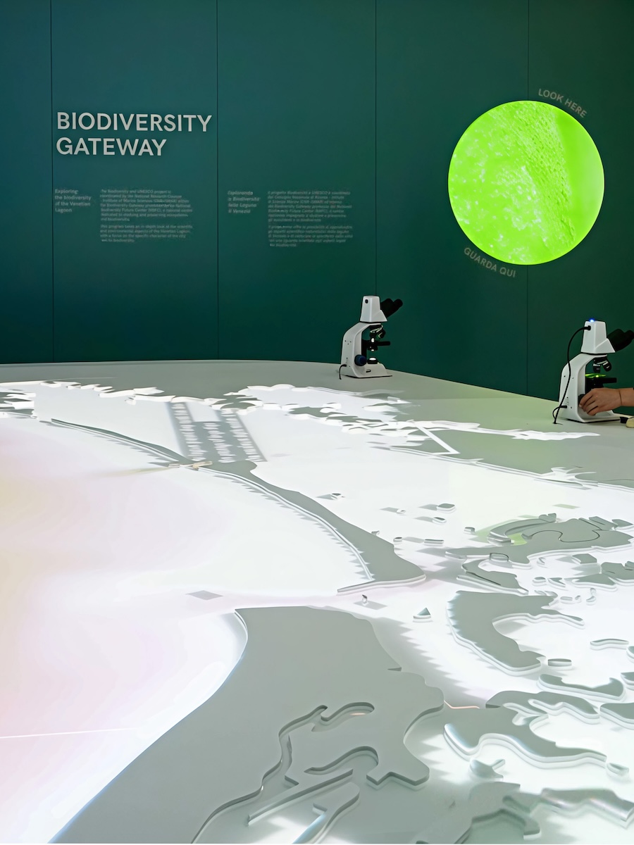 Sea Beyond Ocean Literacy Centre in Venice