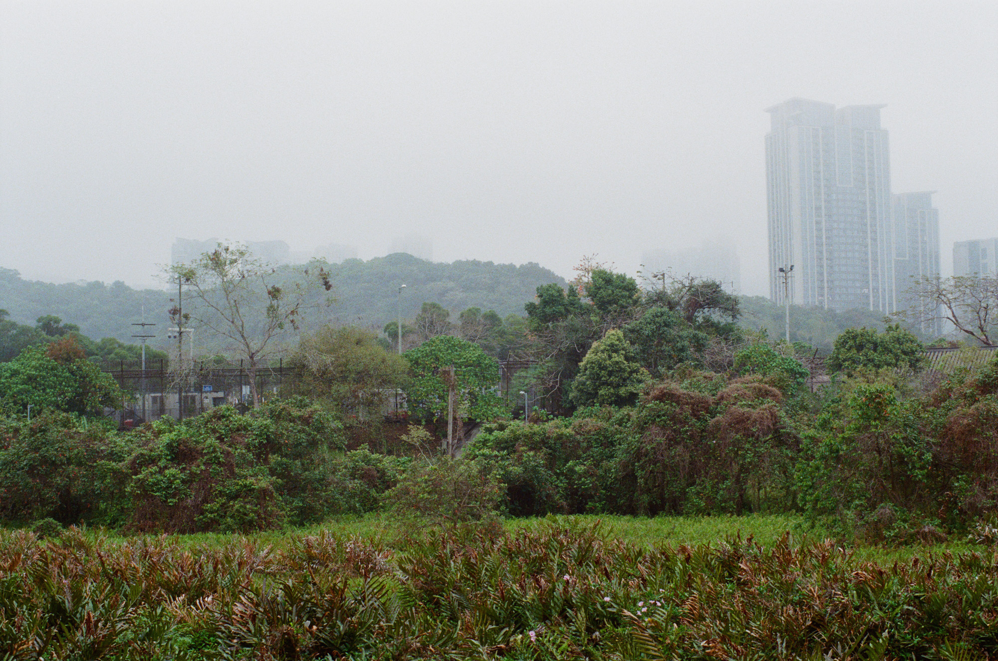 A view of the border with China from Sha Tau Kok