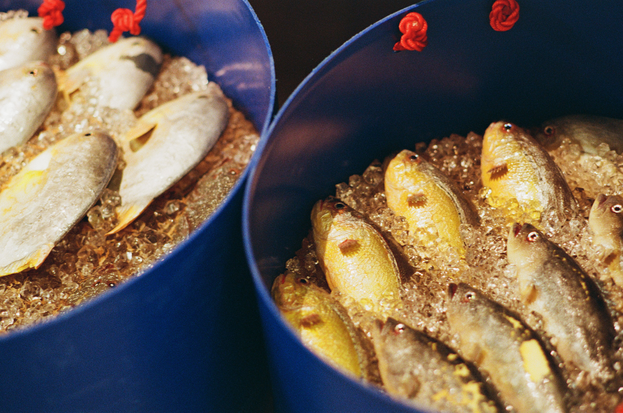 Buckets of fresh fish at the Central Market