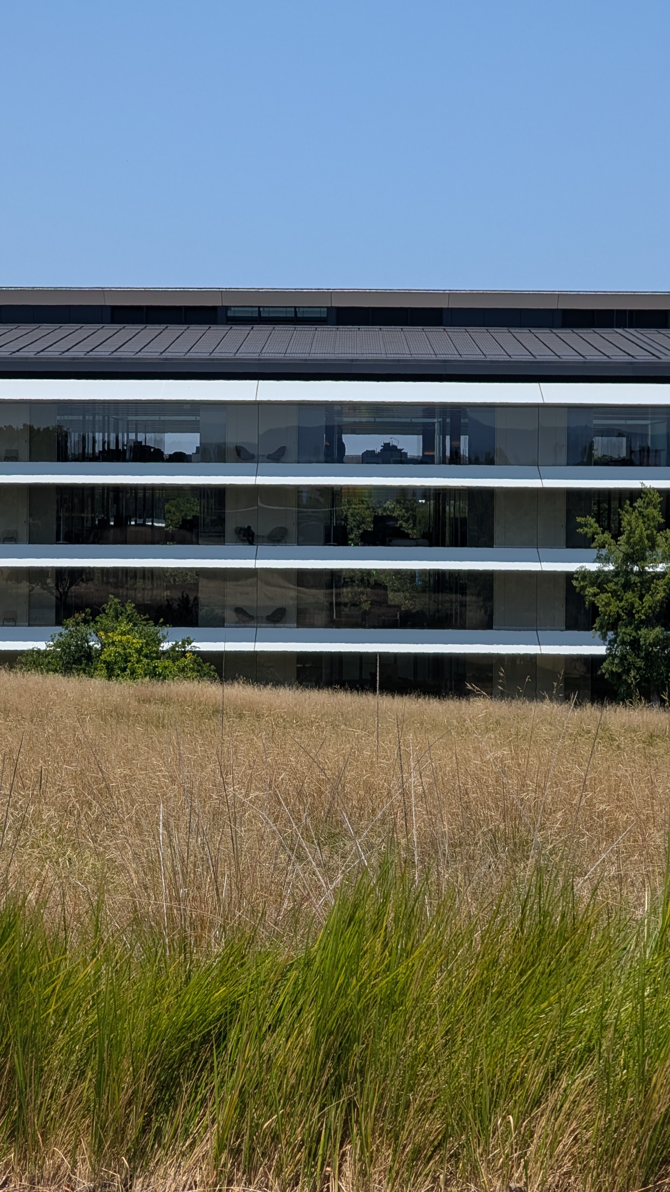 Apple Park, June 2025