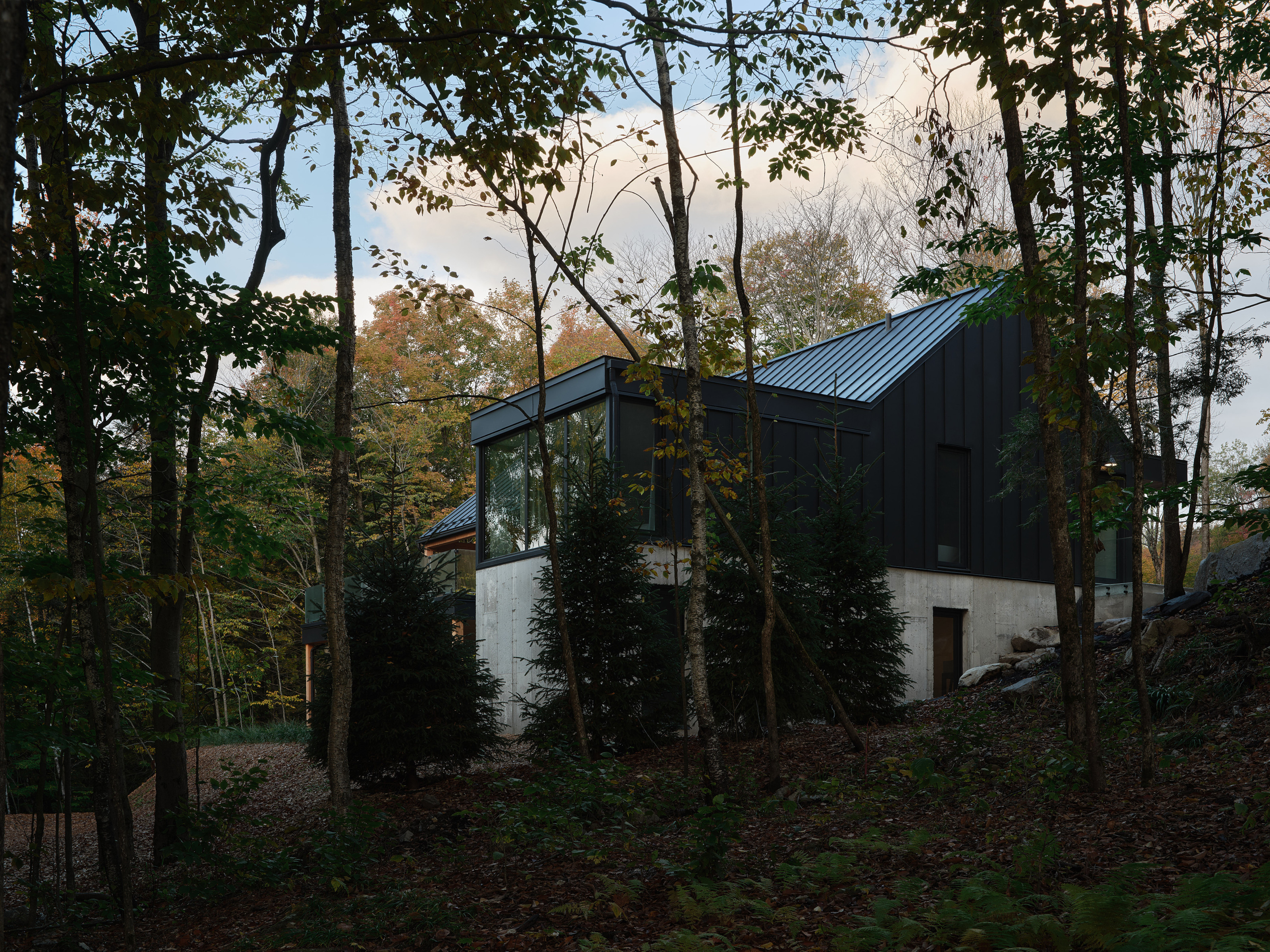 The house is raised up on a concrete ground floor