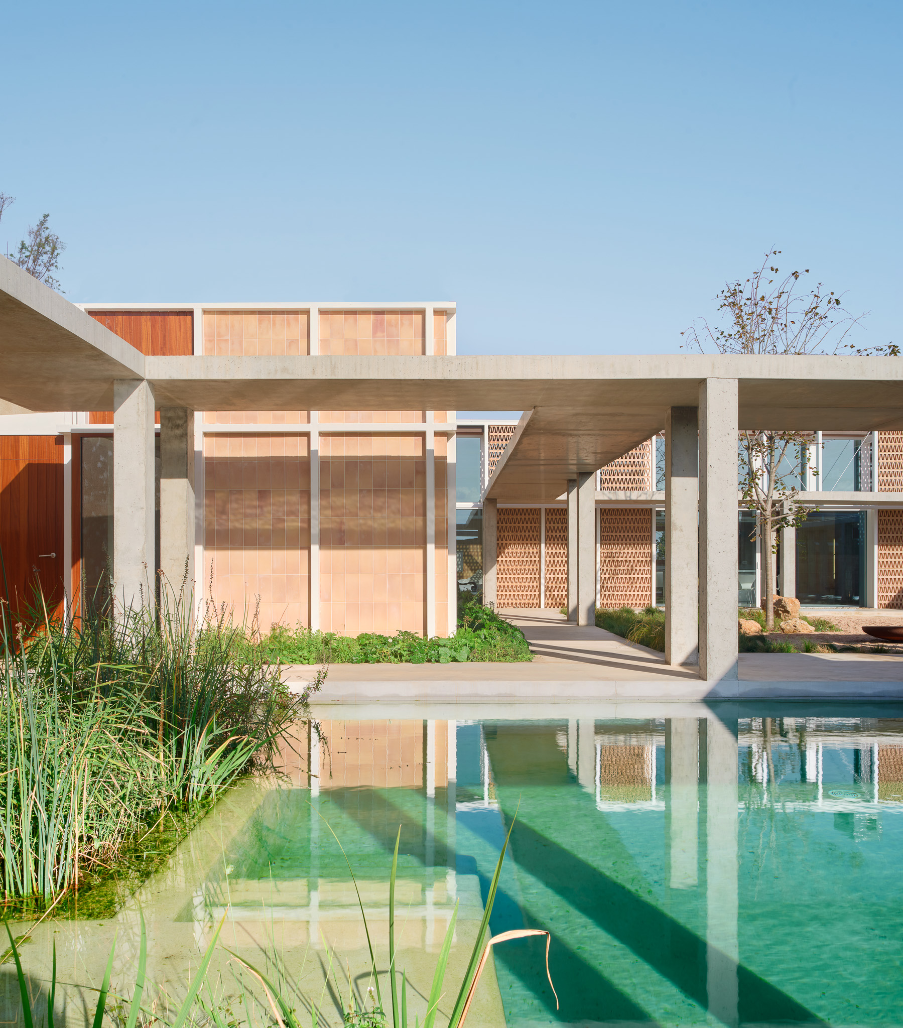 Looking north across the pool to the guest and main pavilions