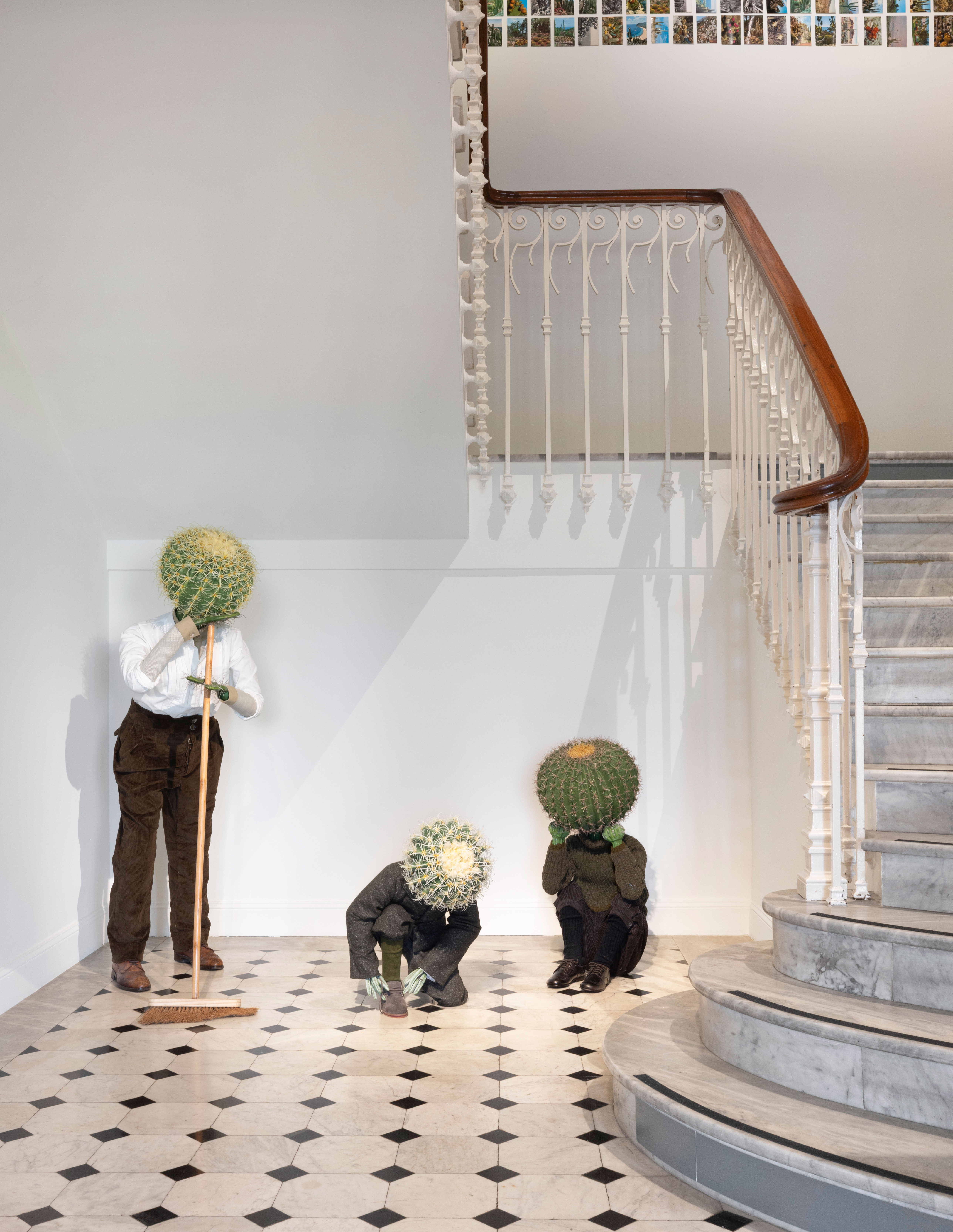 an exhibition of cacti in art and design