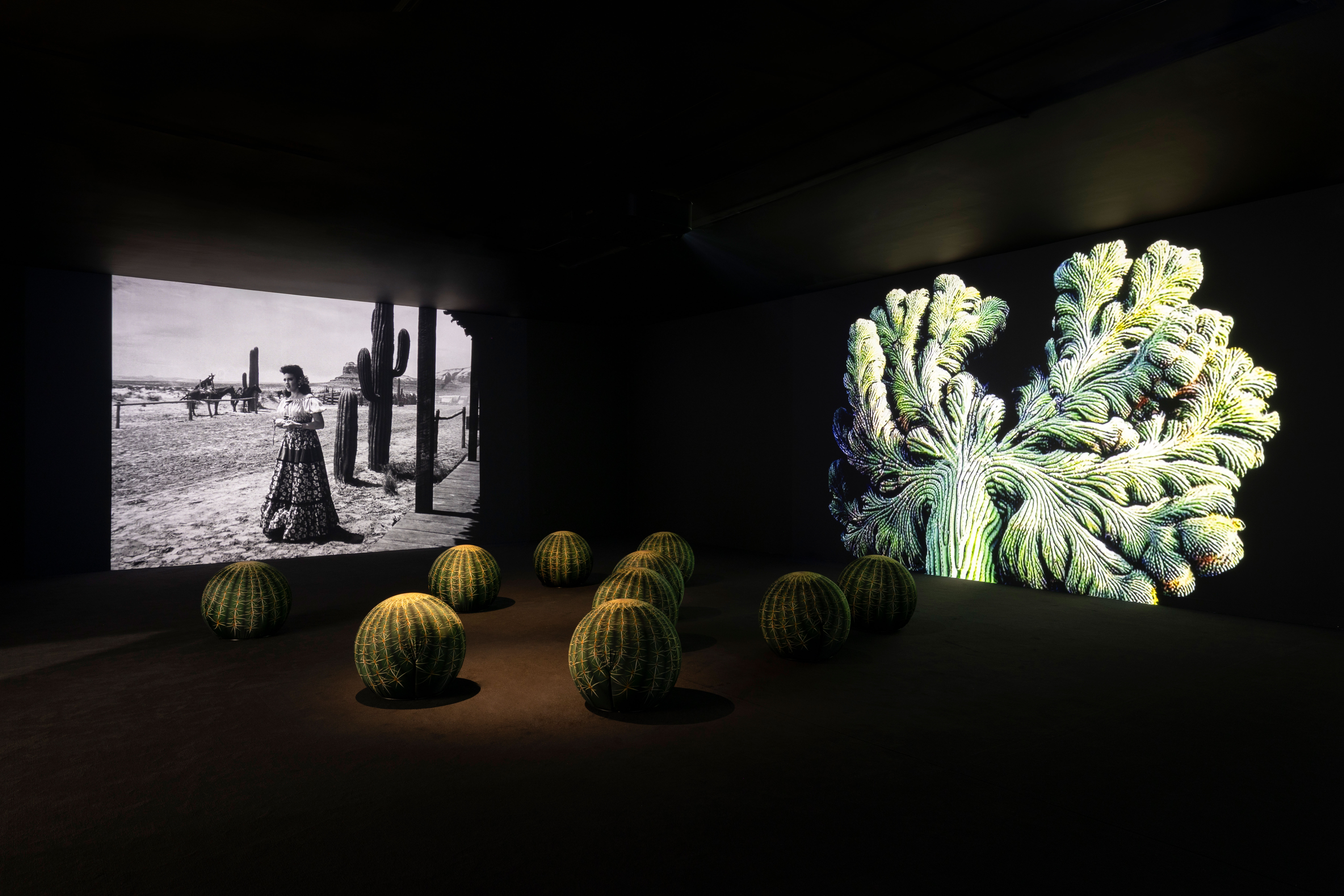 an exhibition of cacti in art and design