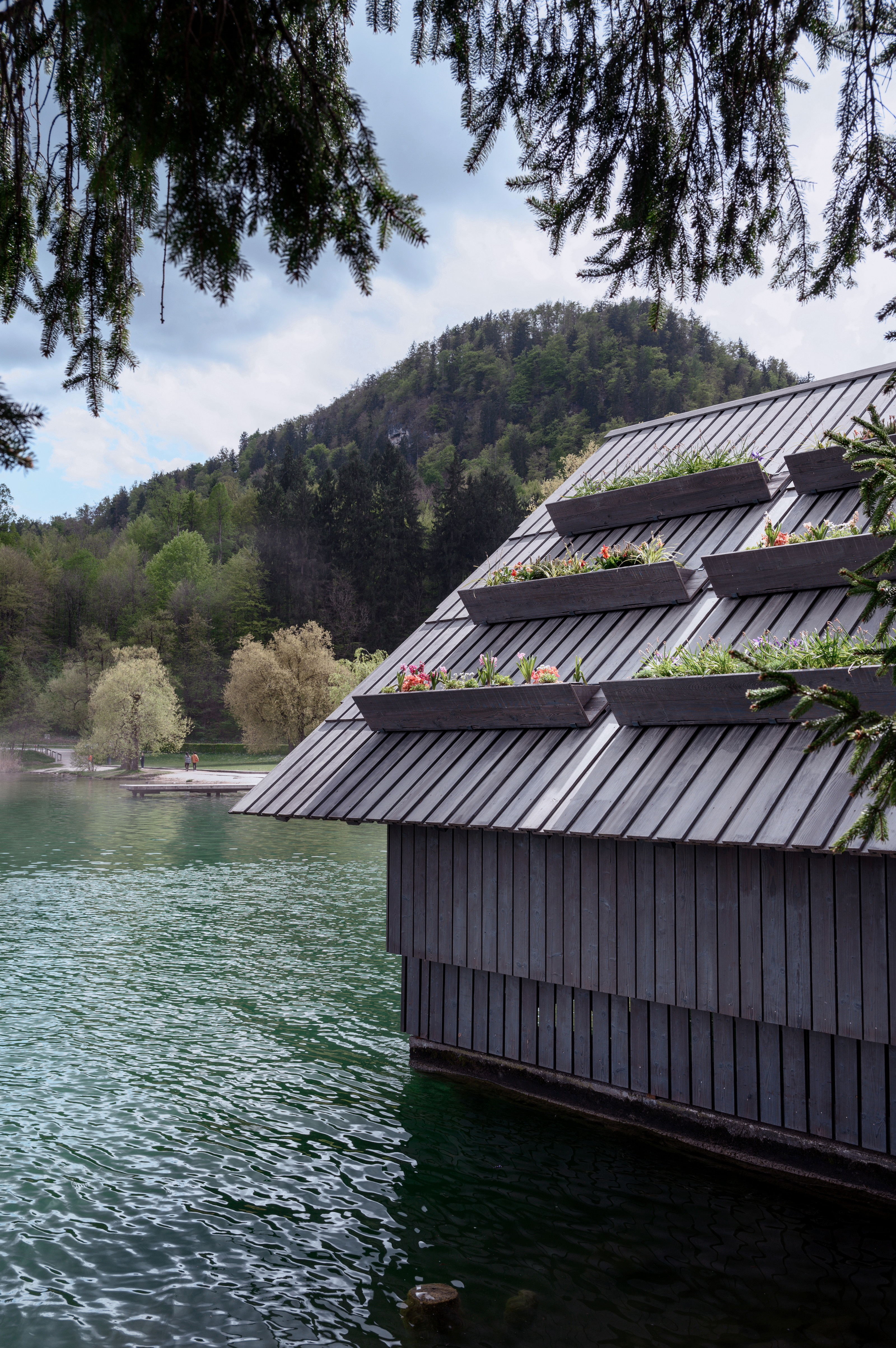 The new experimental planted beds on the roof of the boathouse