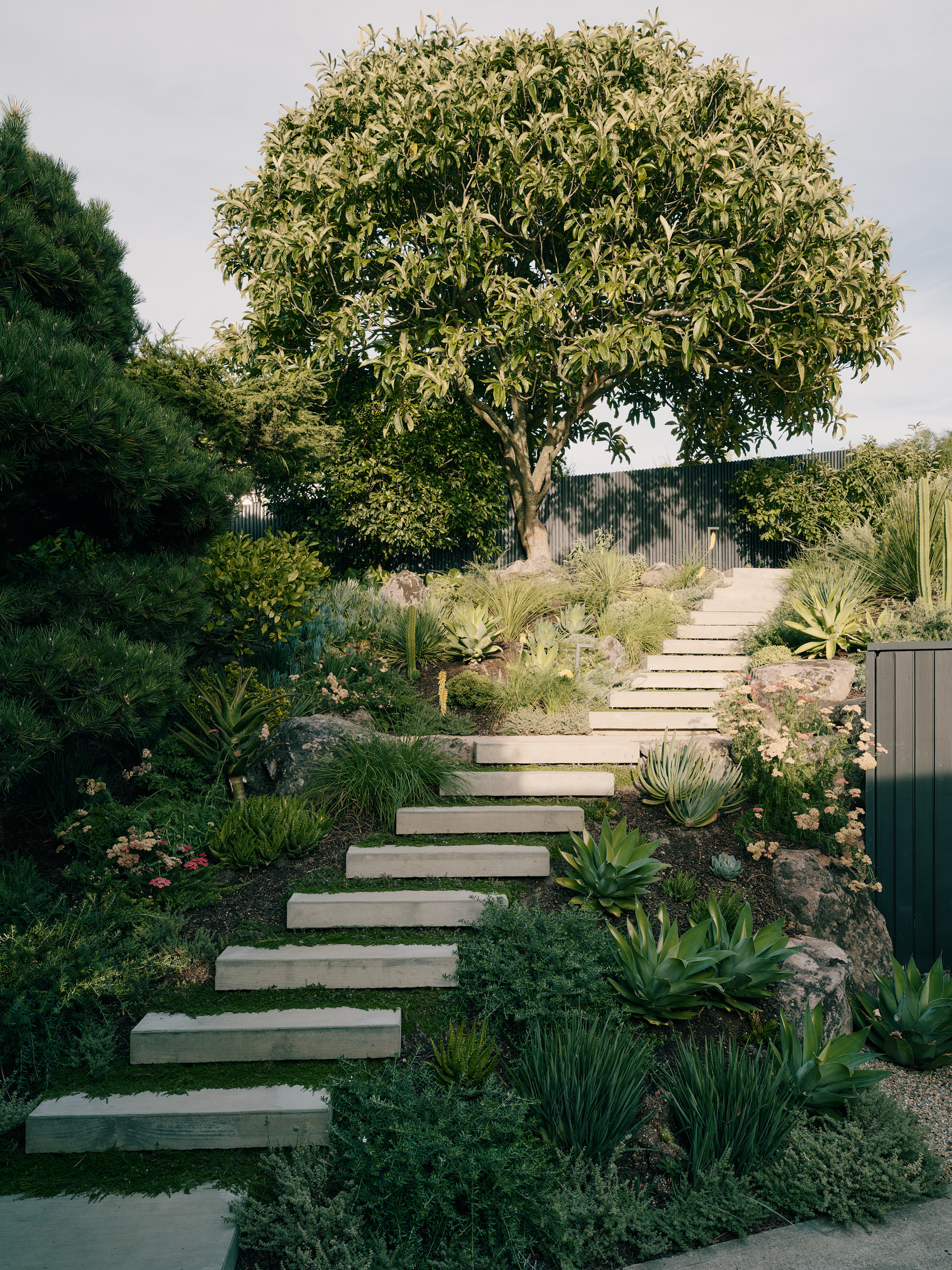 Mork Ulnes Architects Berkeley Hills House