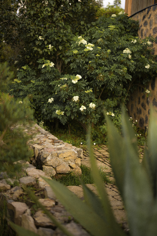 leafy landscape architecture by estudio ome with small buildings featured and yellowish tinge