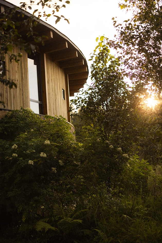 leafy landscape architecture by estudio ome with small buildings featured and yellowish tinge