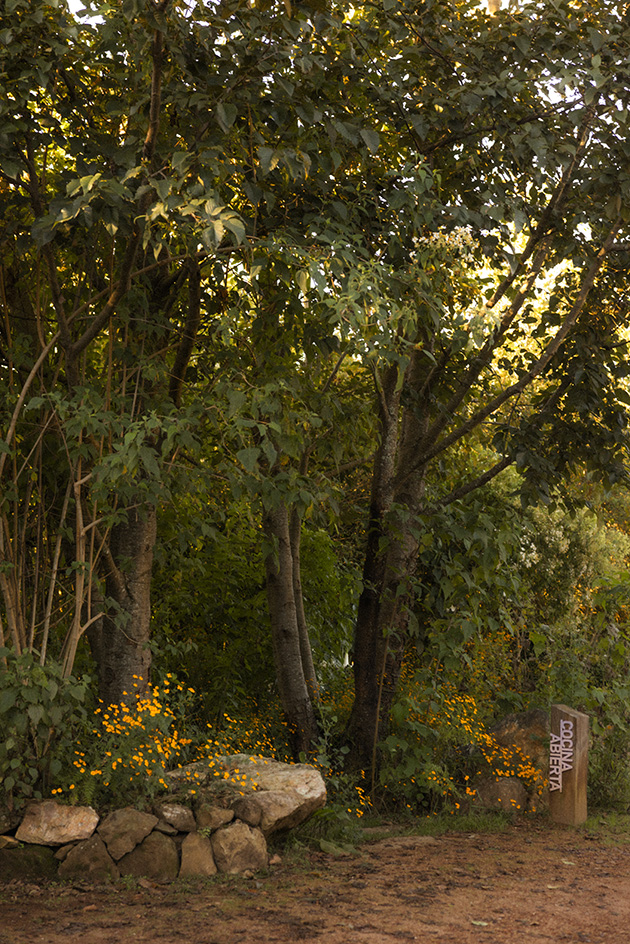 leafy landscape architecture by estudio ome with small buildings featured and yellowish tinge