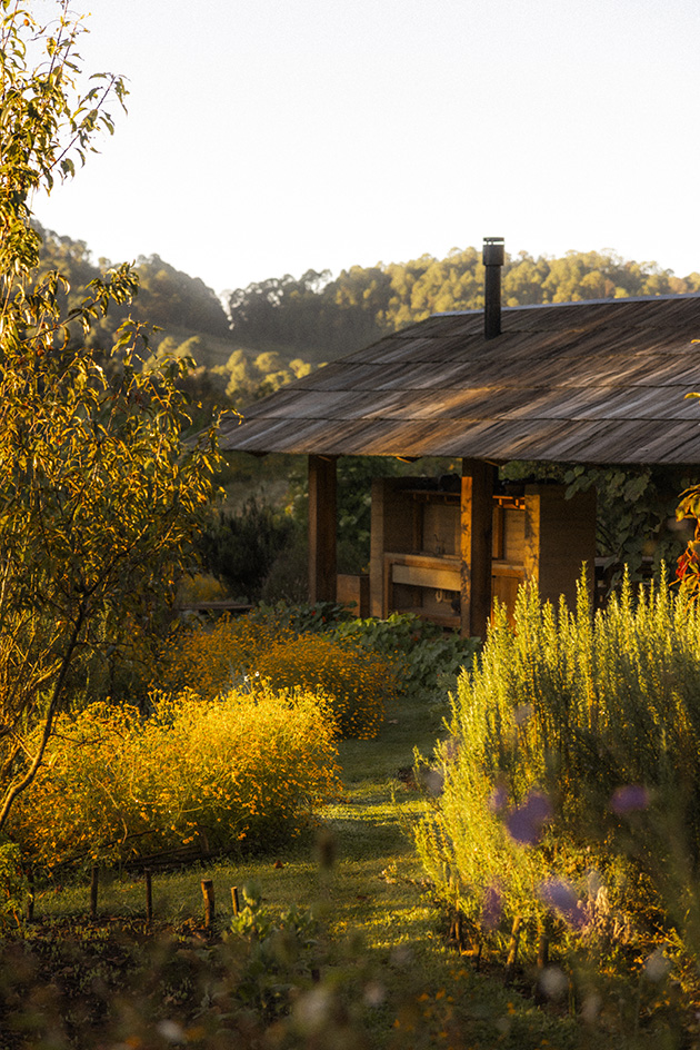 leafy landscape architecture by estudio ome with small buildings featured and yellowish tinge
