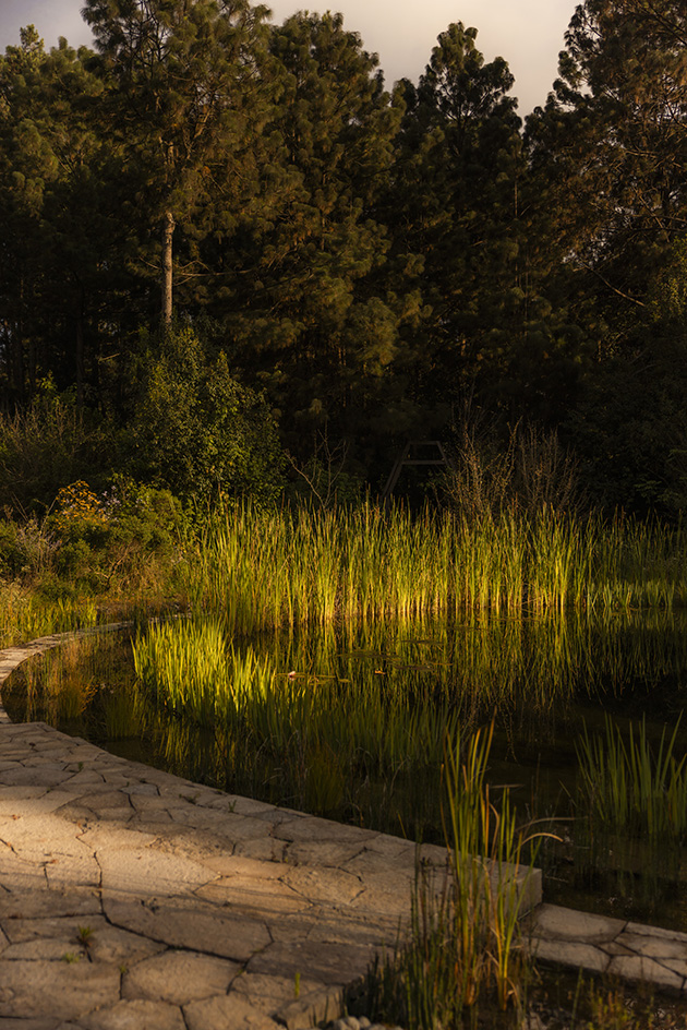 leafy landscape architecture by estudio ome with small buildings featured and yellowish tinge