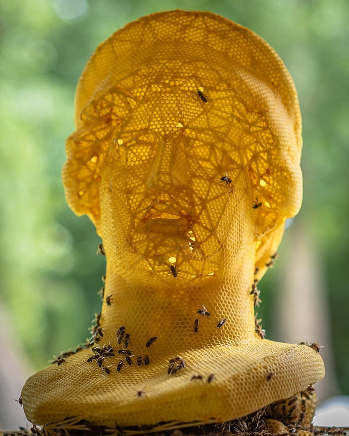 natural beeswax sculptures 004