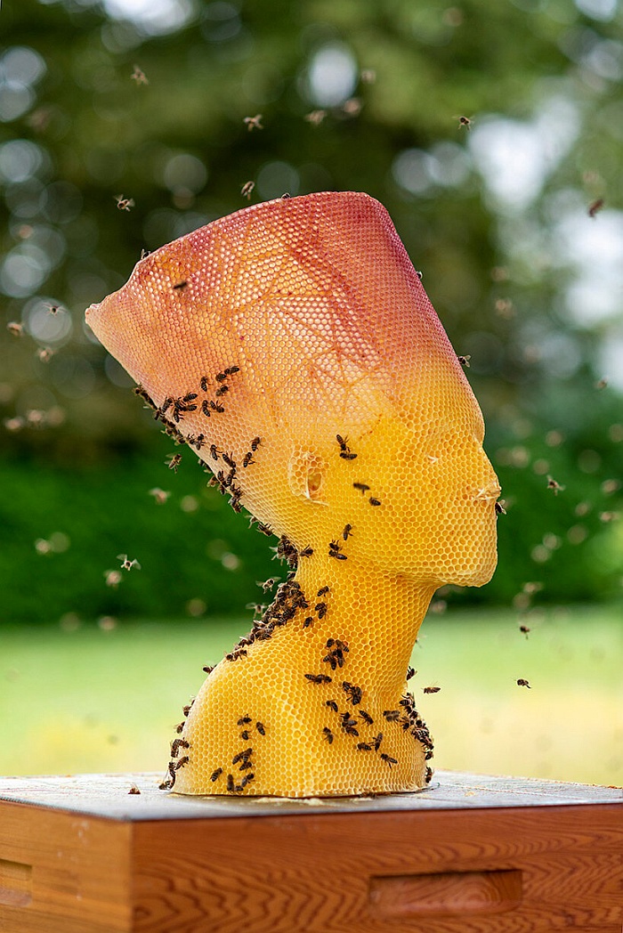 natural beeswax sculptures 005