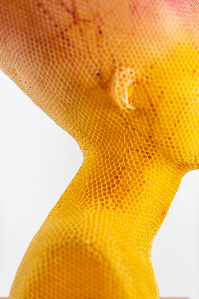 natural beeswax sculptures 008