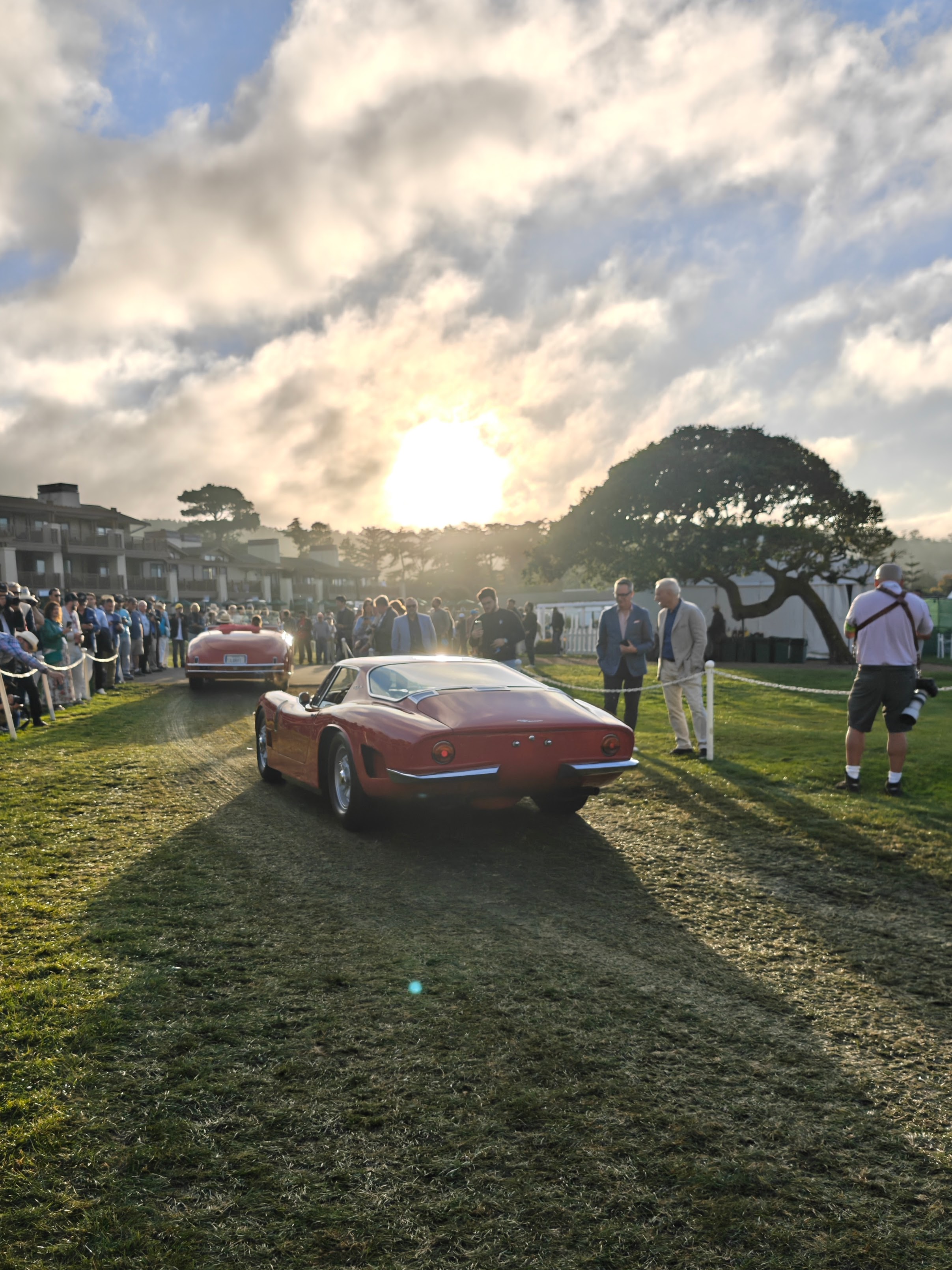 wallpaper editors picks of the week