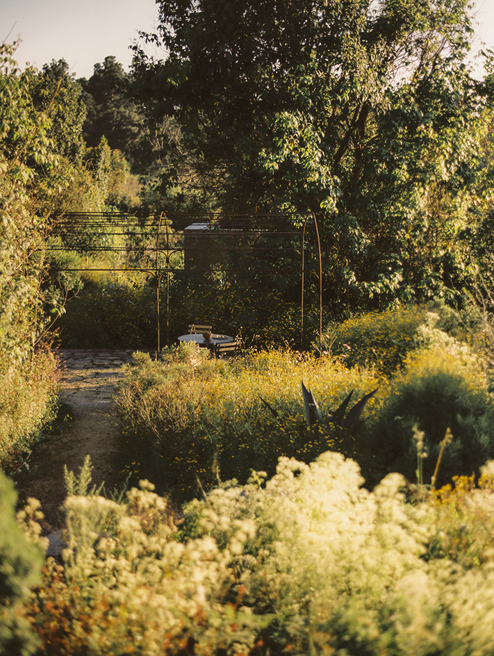 leafy landscape architecture by estudio ome with small buildings featured and yellowish tinge