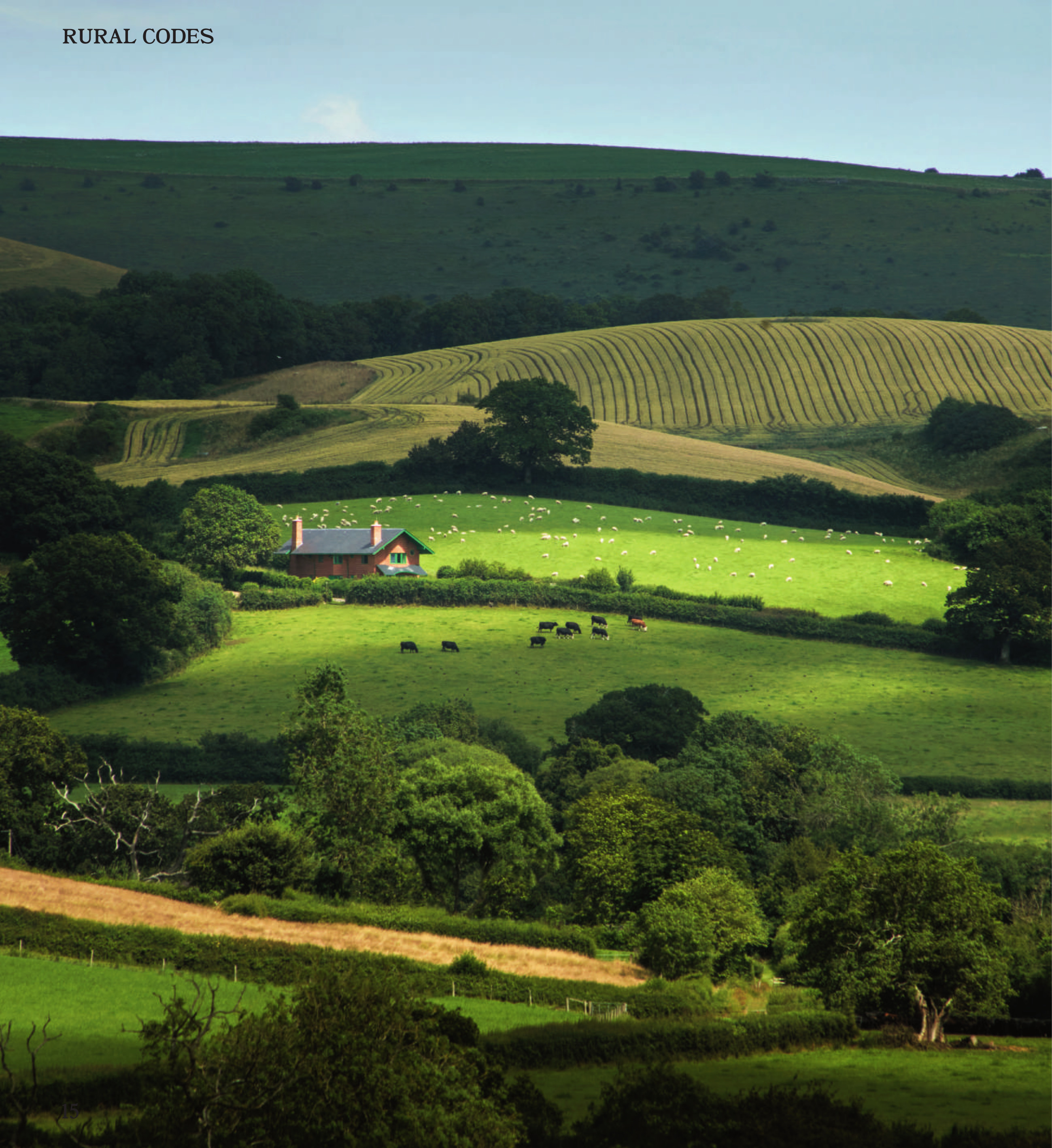 The Red House, Dorset, from Stages
