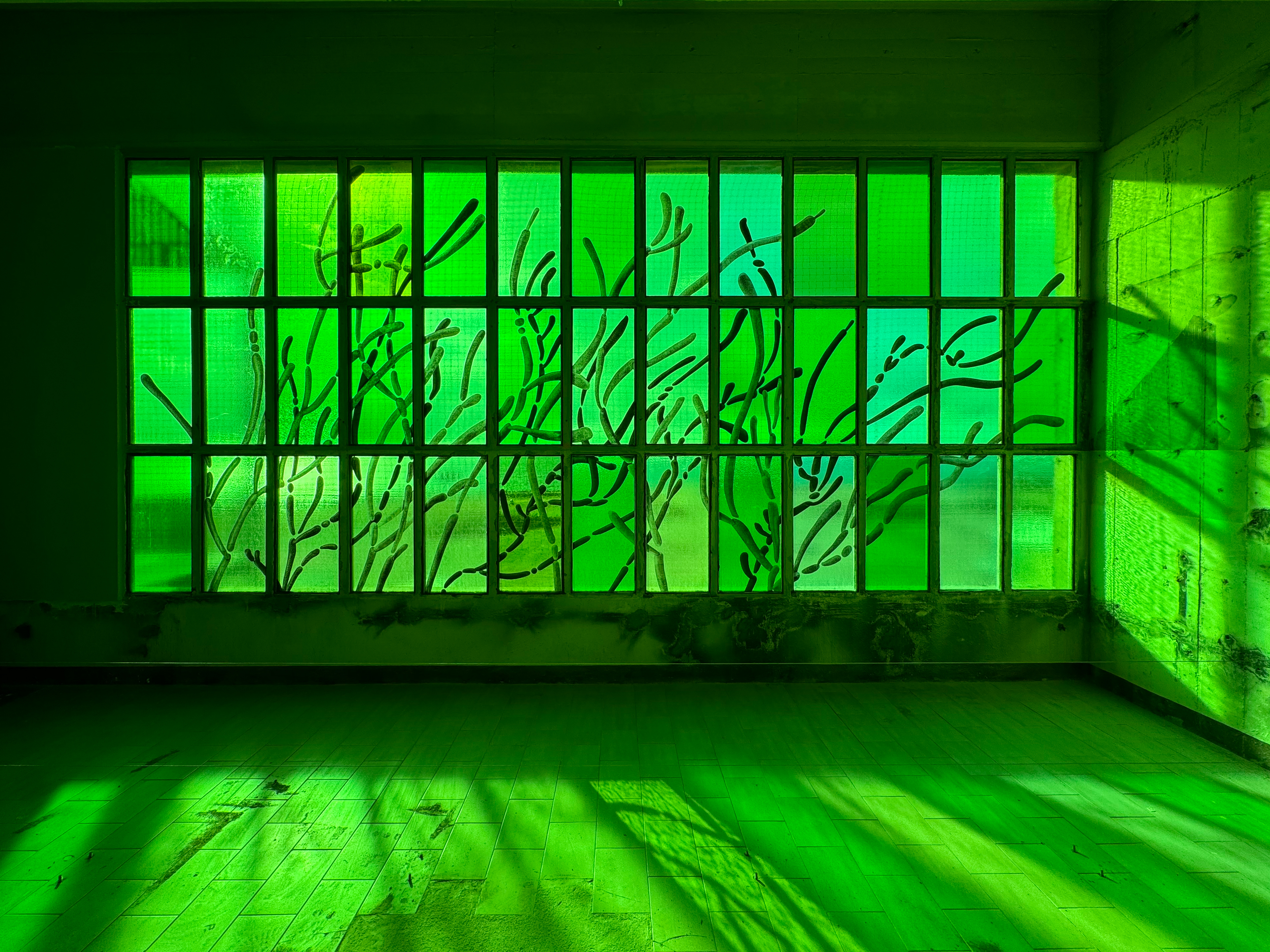 Alexandra Daisy Ginsberg installation with green glass