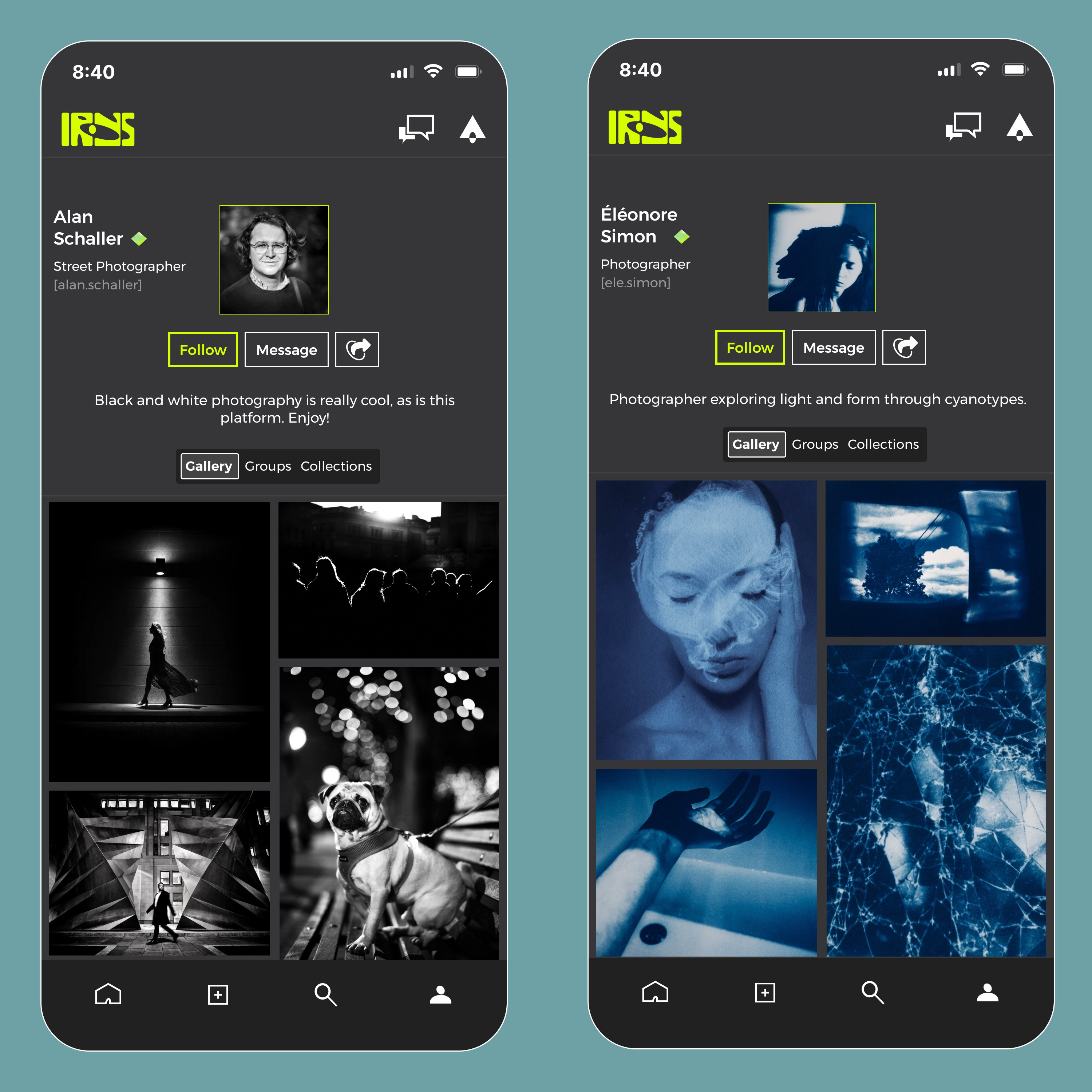 An example of profile pages on Irys