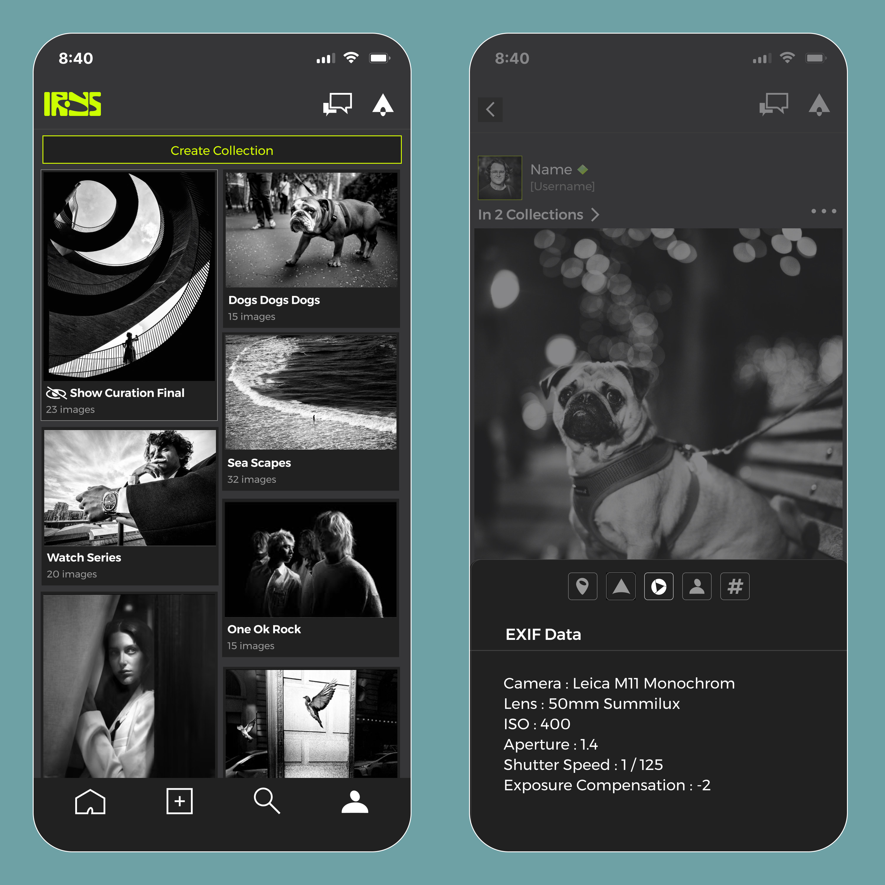 A preview of the collections page