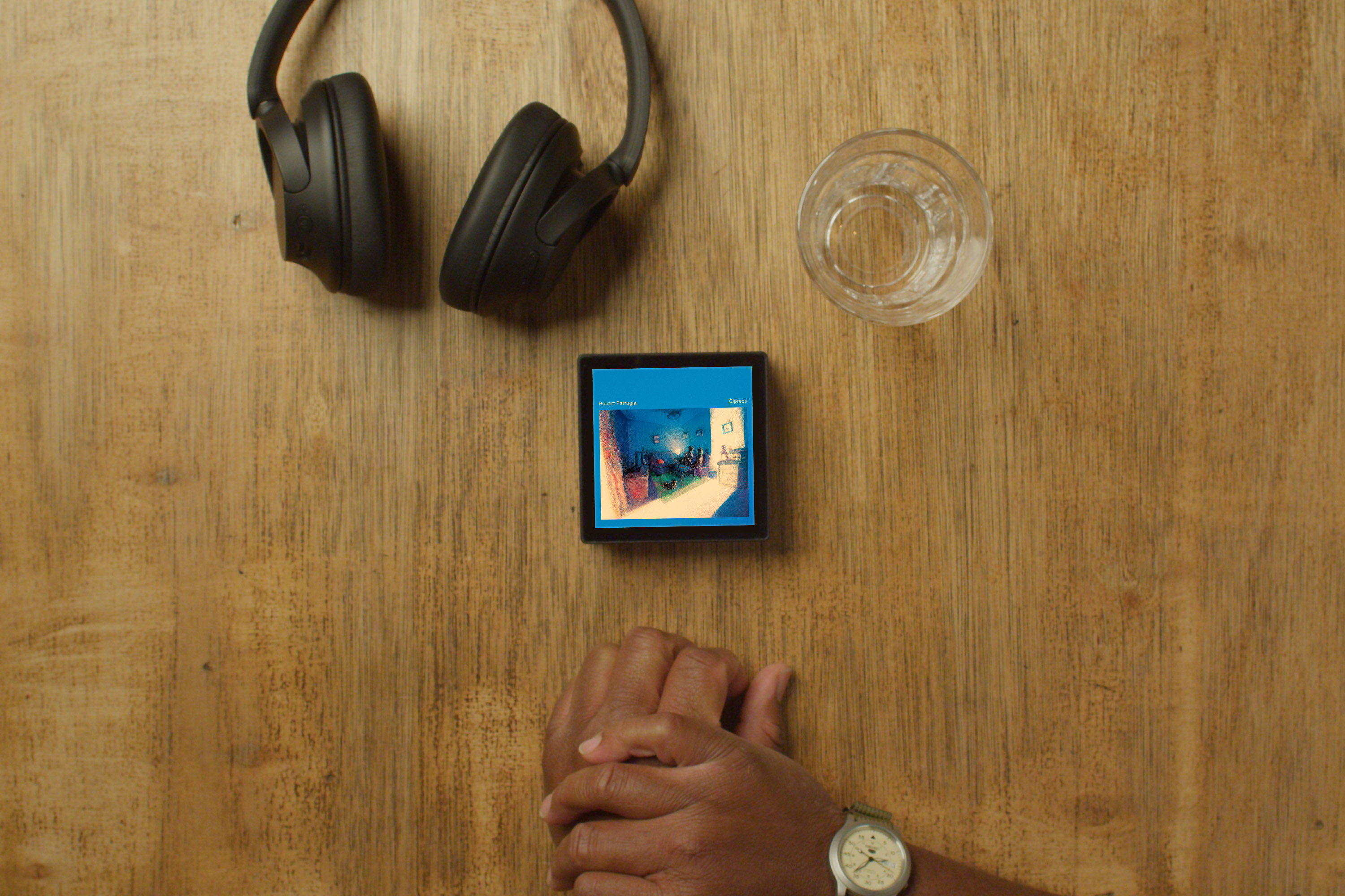 The Sleevenote player