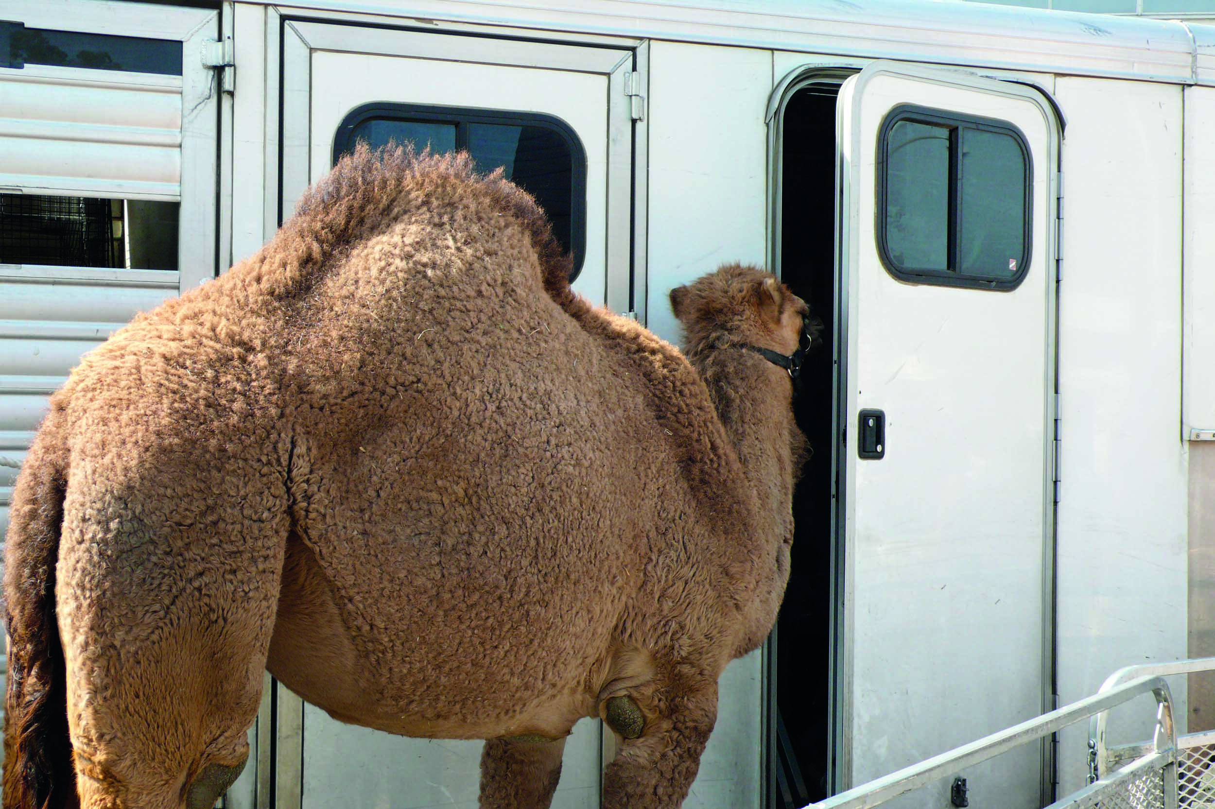 film sets photography captured by lauri gaffin for photobook 'Moving Still: A Cinematic Life Frame-by-Frame'