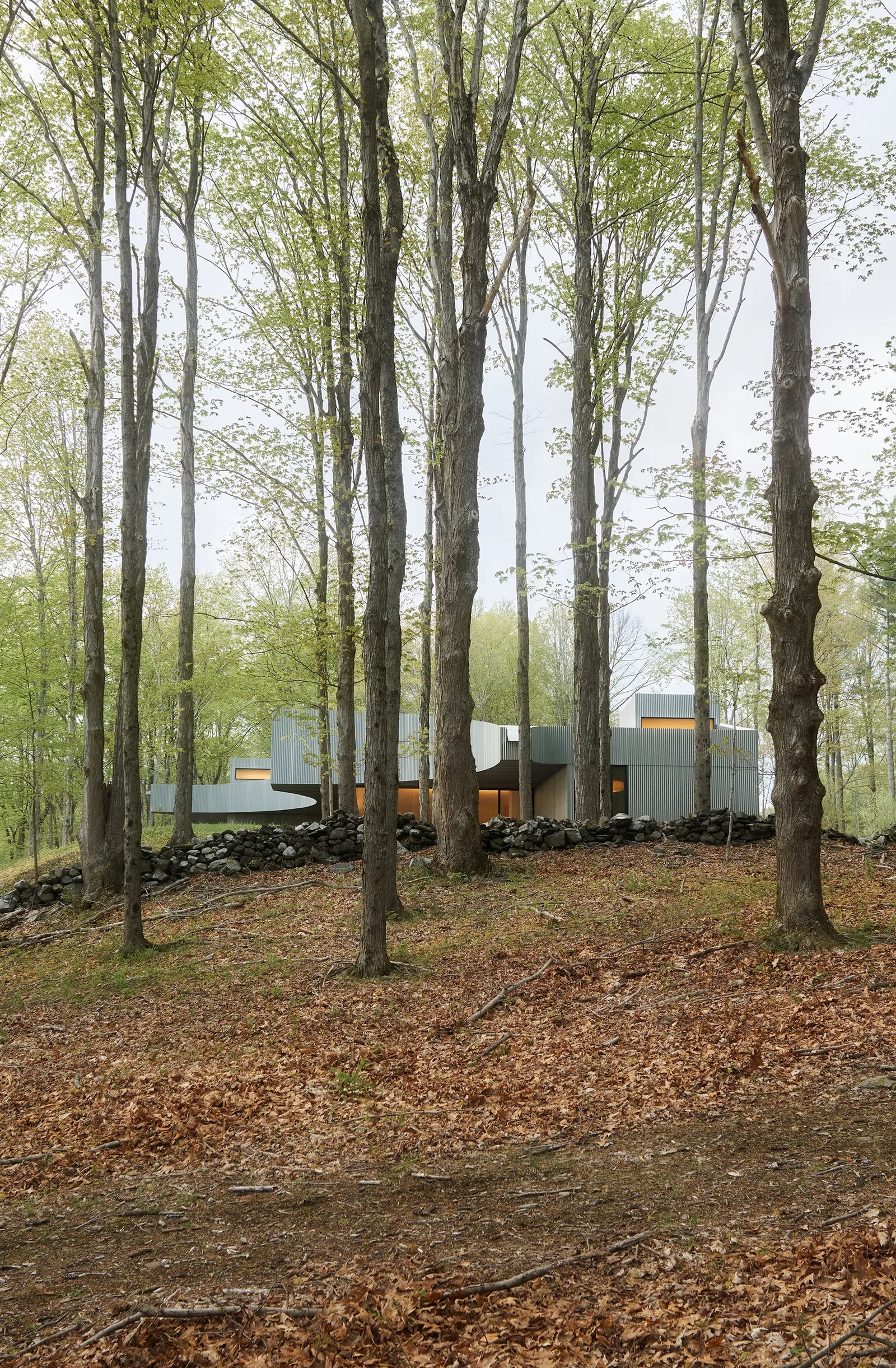 best residential architecture january 2026