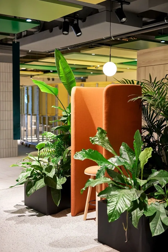 adaptive reuse office design brainhouse247 coworking space in laatzen 05