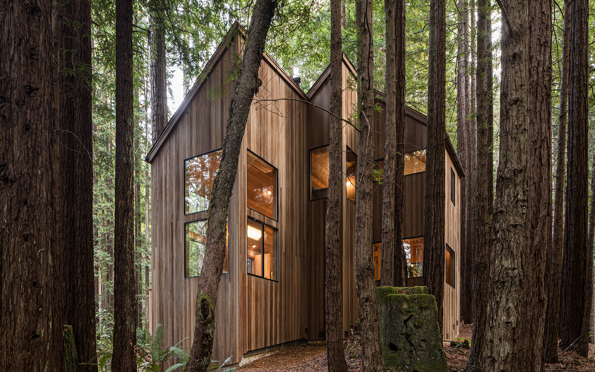 Exterior Cedar + Skye cabin