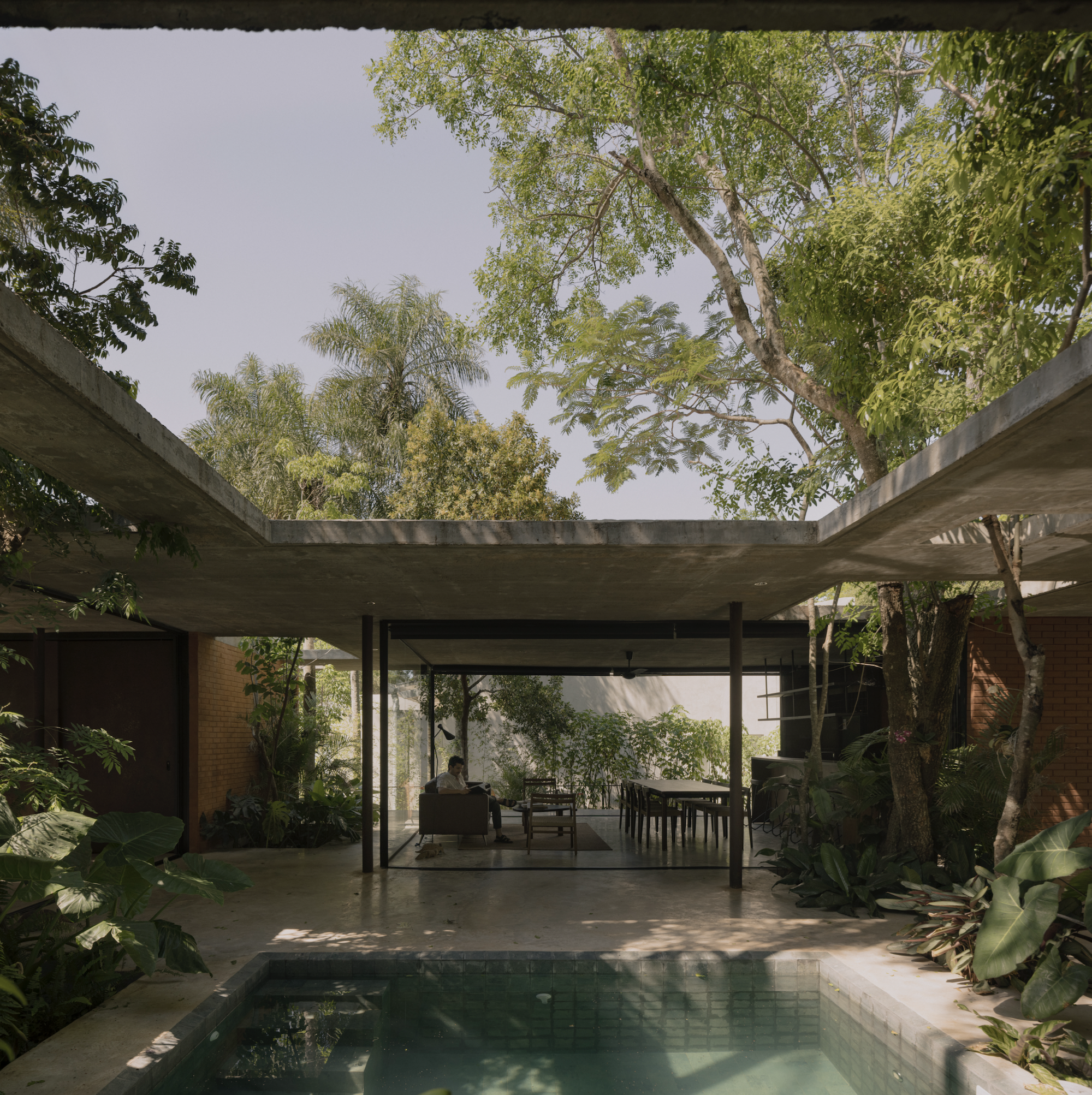 A Forest in the House, Paraguay, by Equipo de Arquitectura