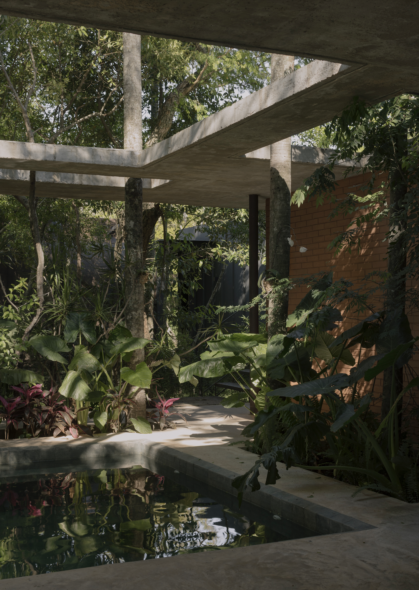 A Forest in the House, Paraguay, by Equipo de Arquitectura