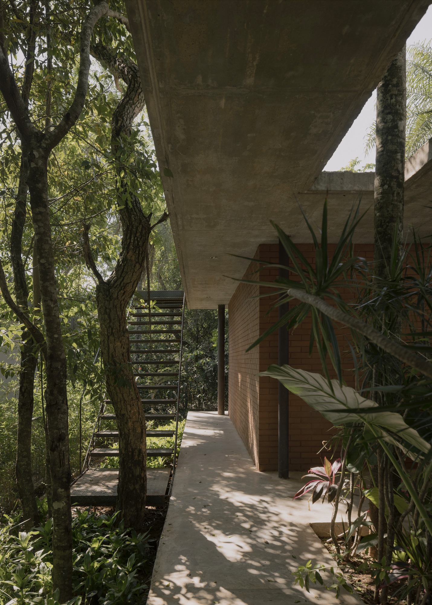 A Forest in the House, Paraguay, by Equipo de Arquitectura