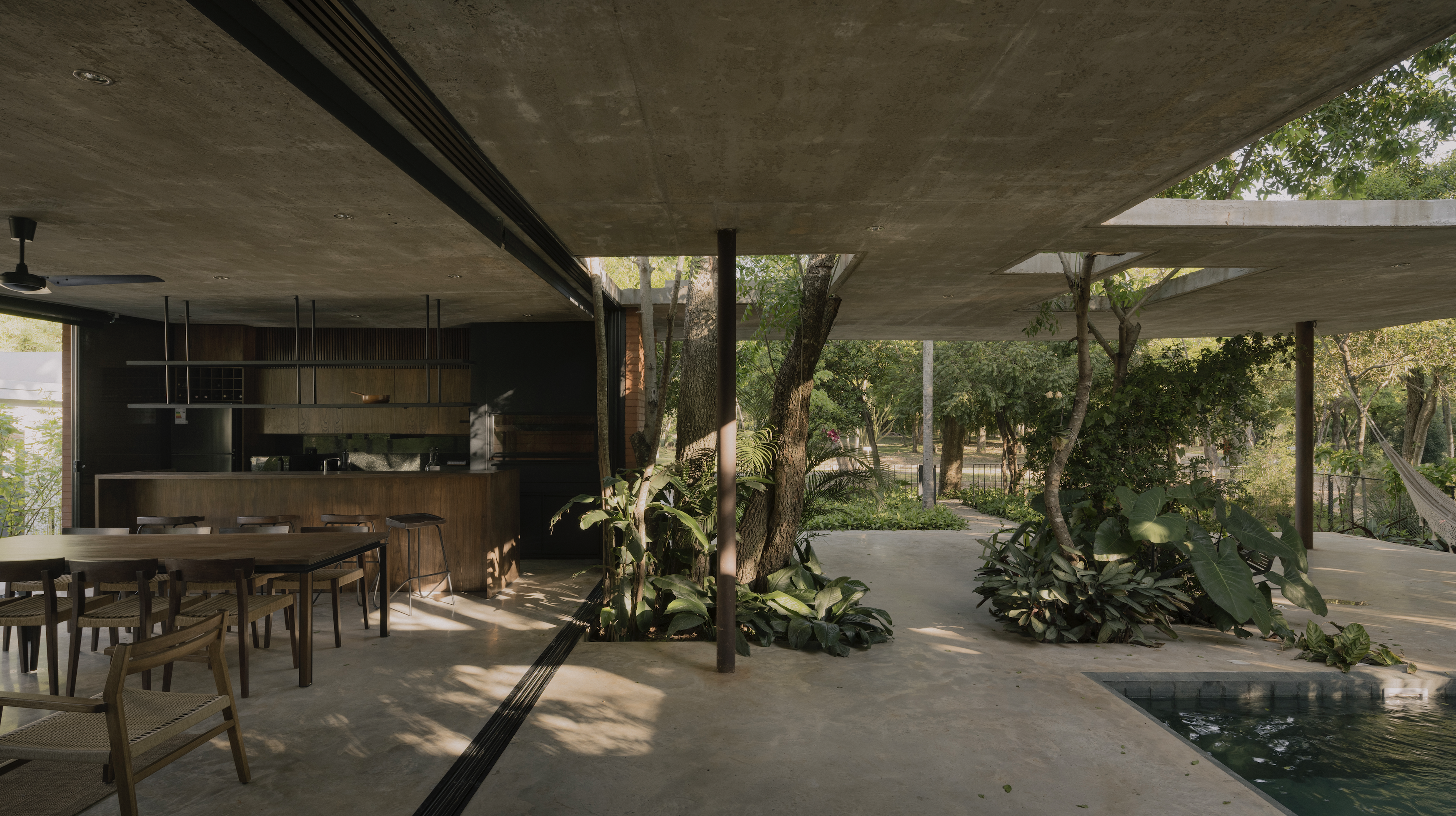 A Forest in the House, Paraguay, by Equipo de Arquitectura