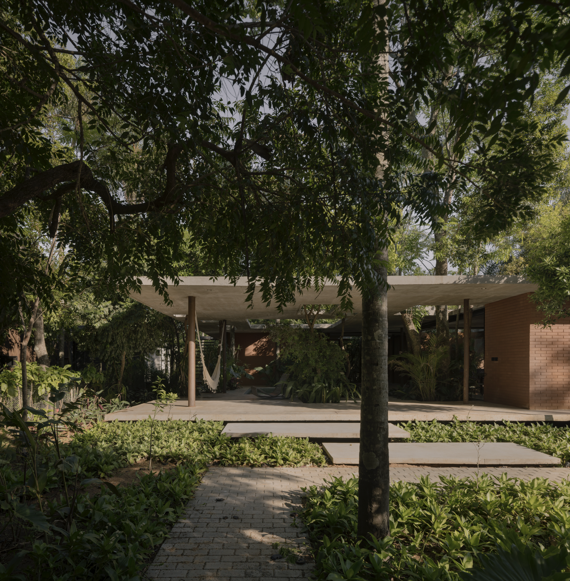 A Forest in the House, Paraguay, by Equipo de Arquitectura