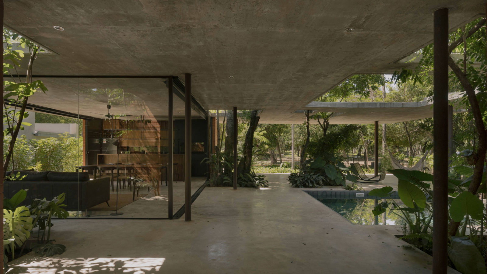 A Forest in the House, Paraguay, by Equipo de Arquitectura