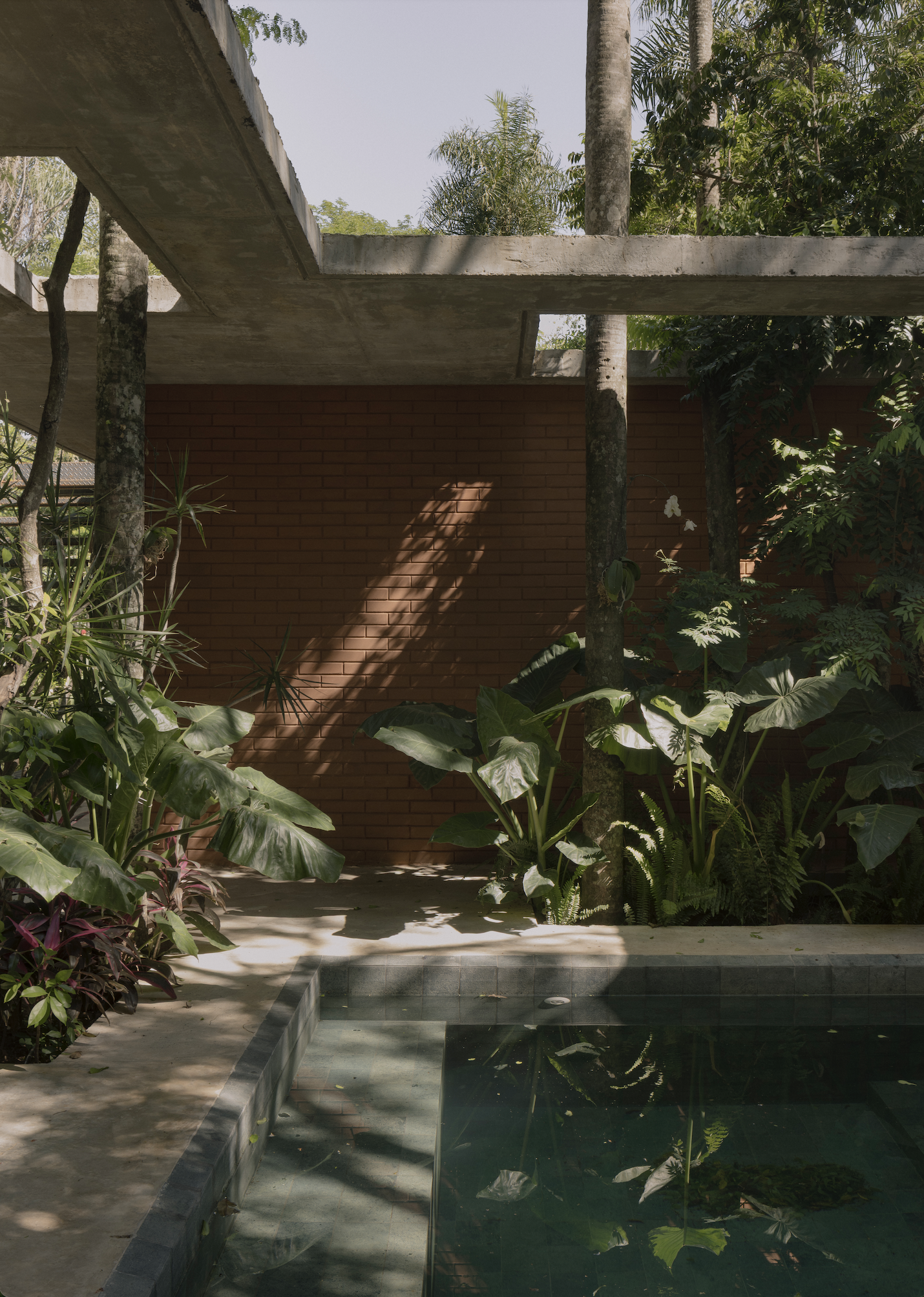 A Forest in the House, Paraguay, by Equipo de Arquitectura