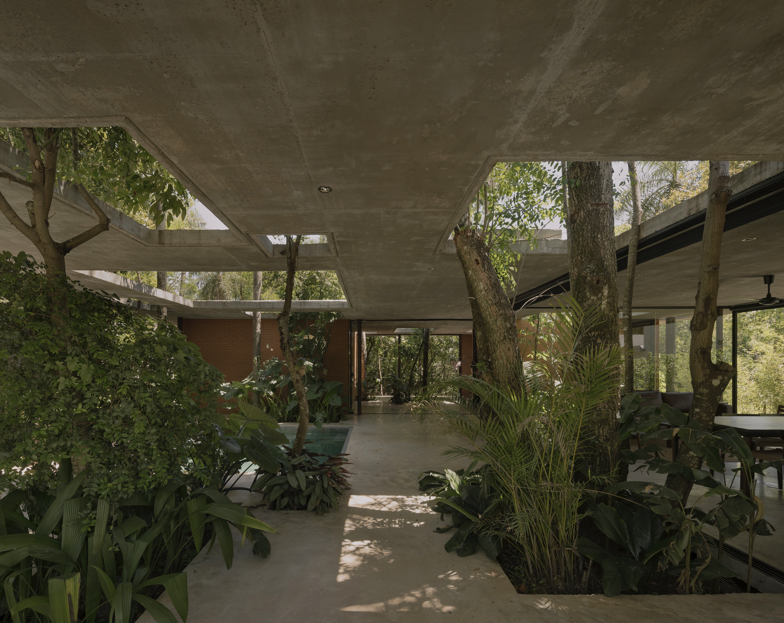 A Forest in the House, Paraguay, by Equipo de Arquitectura