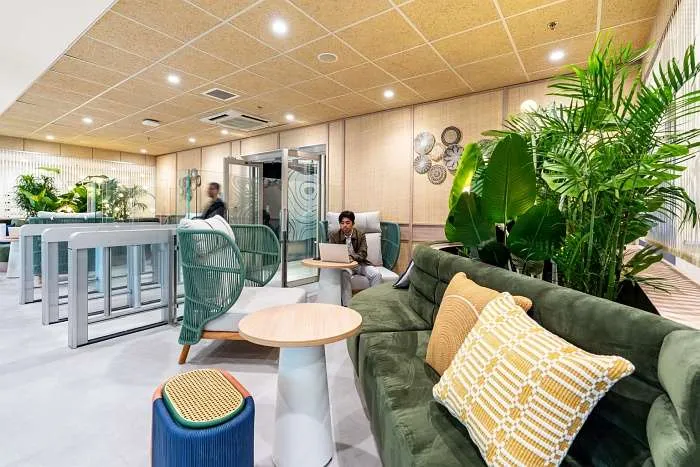 Soft seating lounge with indoor plants and warm wood finishes reflecting organic office design principles.