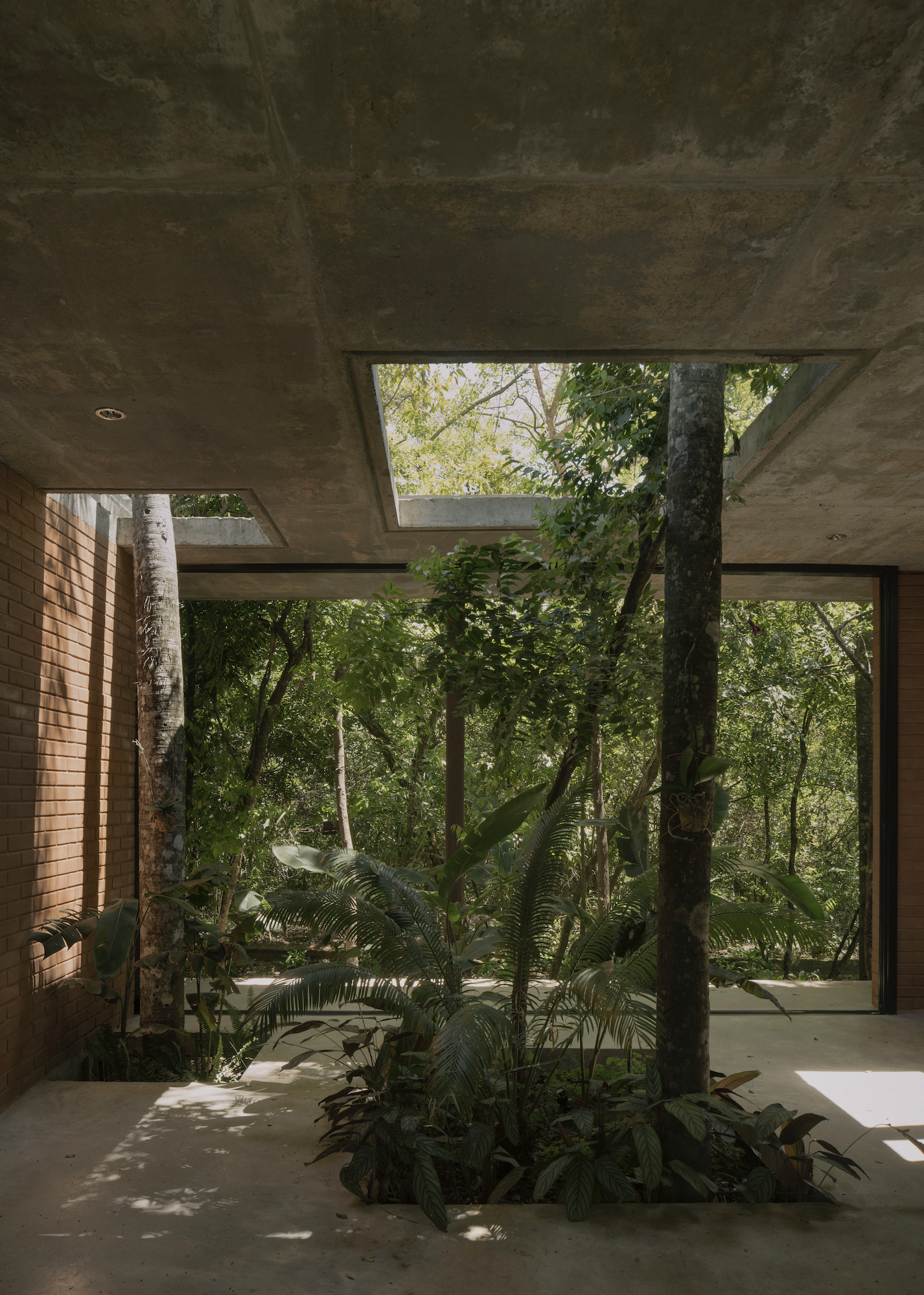 A Forest in the House, Paraguay, by Equipo de Arquitectura
