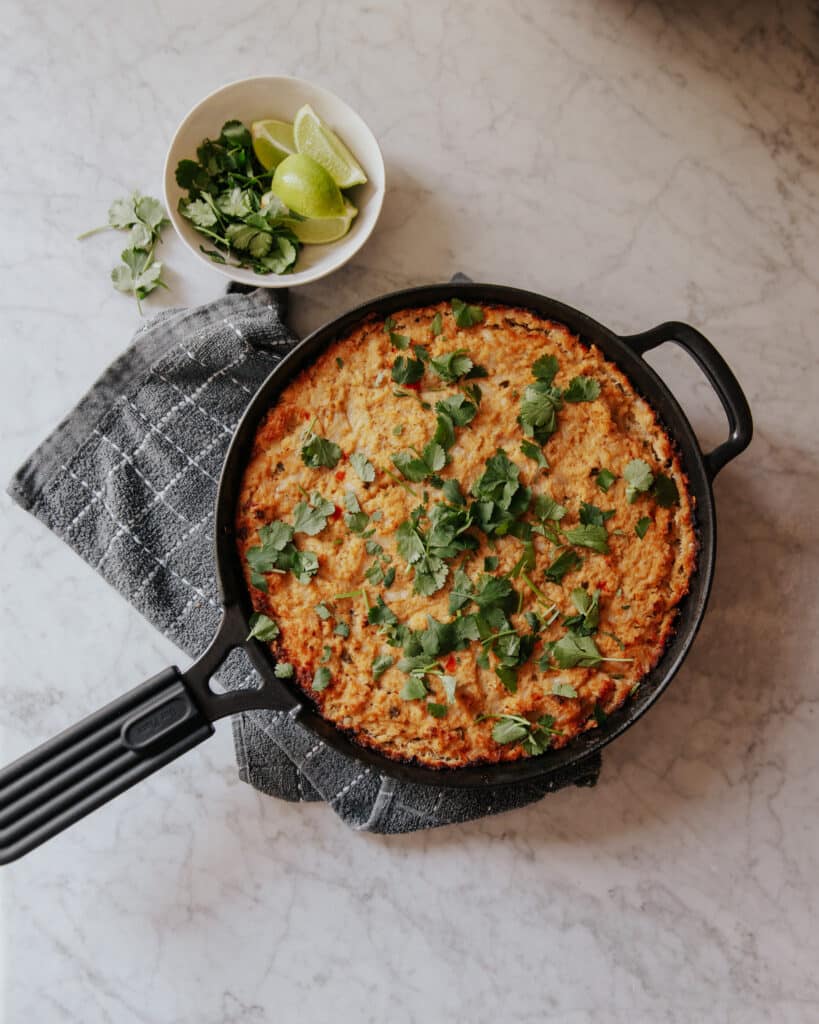 Chipotle Chicken Dip - Grain & Dairy Free
