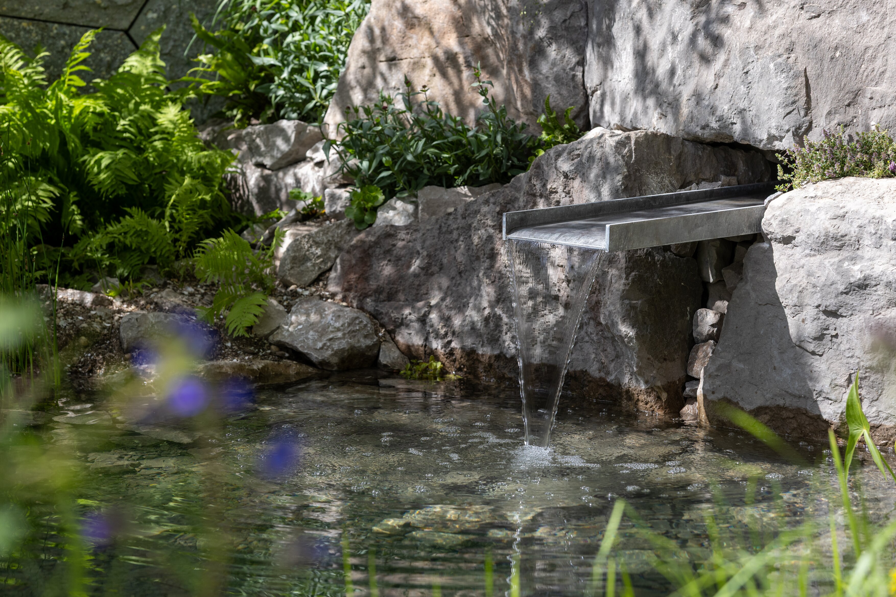 The Eden Project: Bring Me Sunshine Garden. Designed by Harry Holding and Alex Michaelis. Show Garden. RHS Chelsea Flower Show 2026. Site no. 325